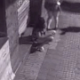 A security camera records a drunk girl squatting in an alley to take a shit while her friends watch. The drunk girl returns to the scene to pick up her turd and throw it aside. Grainy video with no audio track, but shown in 720P. Over 2.5 minutes.